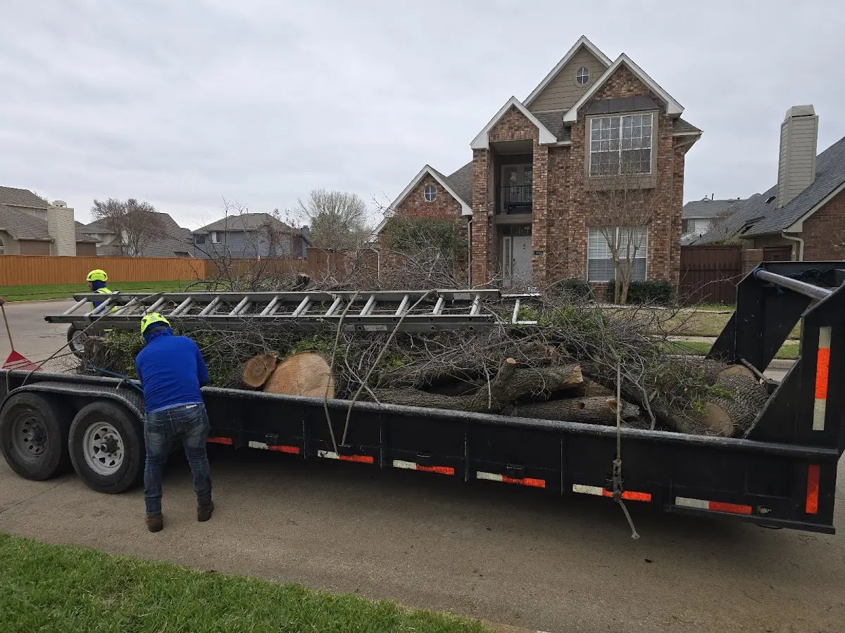 Expert Tree Fertilization with proper safety equipment in Curwensville